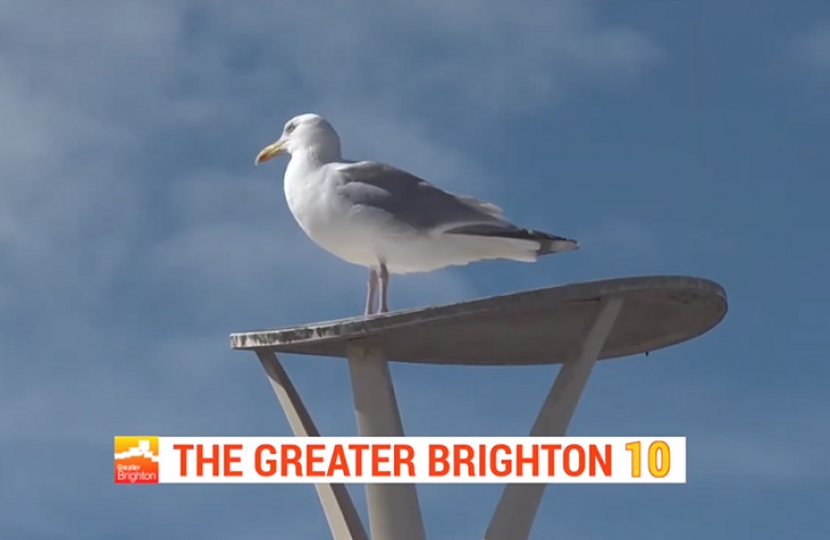 Greater Brighton
