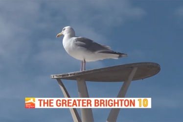 Greater Brighton